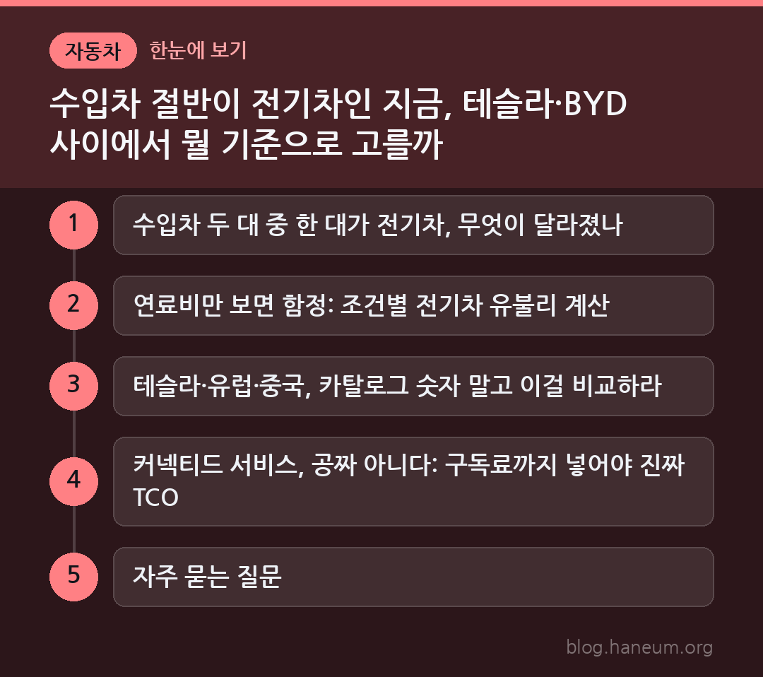수입차 절반이 전기차인 지금, 테슬라·BYD 사이에서 뭘 기준으로 고를까 한눈에 보기